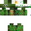 Texture for Tiny Turtle