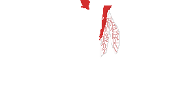 Texture for Red Dragonfly wings
