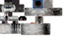 Texture for nice dog