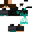 Texture for master071