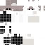 Texture for bachir new