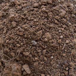 Texture for dddddd