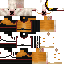 Texture for walter de botas