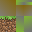 Texture for Grass_block