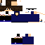 Texture for SirBrandt_