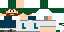 Texture for leon