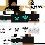 Texture for moises