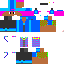 Texture for shellyDem