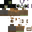 Texture for bpotter final form