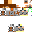Texture for sassa24 bot