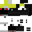 Texture for gsface zzv3