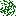 Texture for spruce_leaves
