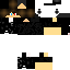 Texture for T_Spider