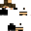 Texture for Insanecraft