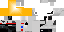 Texture for Astronaut