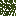 Texture for scremer_tree_leaves