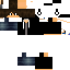 Texture for dsfr