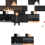 Texture for Steve