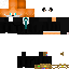 Texture for DrFoxBR