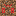 Texture for ww
