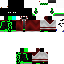 Texture for Steve