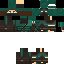 Texture for the assassin
