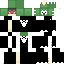Texture for DecidueyeGaming