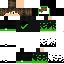 Texture for Minh