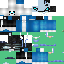 Texture for SANS WITHER