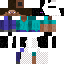 Texture for endersteve