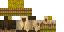 Texture for Jemziel zombie husk XD