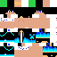 Texture for sasr