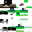 Texture for steve