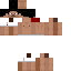 Texture for steve de cueca