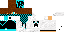 Texture for Robin