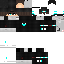 Texture for steve