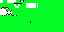 Texture for el pollo dream
