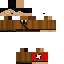 Texture for ds