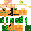 Texture for Dio, but he's a bush