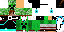 Texture for modde