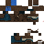 Texture for Shin bug corrigé