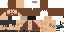Texture for Miner
