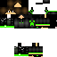 Texture for lucas2