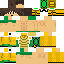 Texture for TottyTurtle