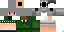 Texture for みょん