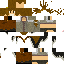 Texture for ThorinPlayer