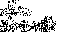 Texture for Mr.Scribbles