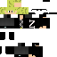Texture for fdf zss