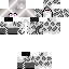 Texture for SnowLeopard