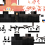 Texture for Flahnyn skin incomplete